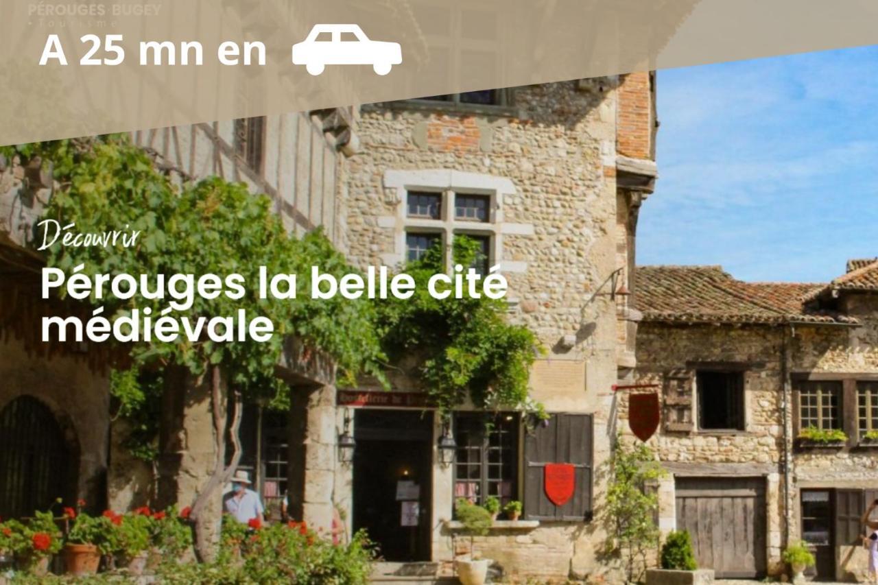 L'Emeraude - 1 A 4P - Wifi Fibre - Parking Gratuit Pont-dʼAin Eksteriør bilde