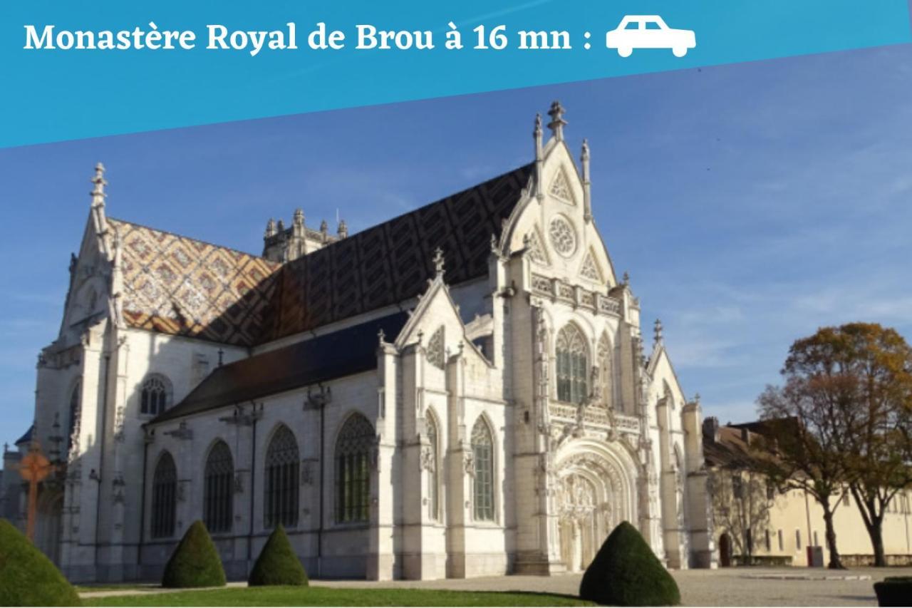 L'Emeraude - 1 A 4P - Wifi Fibre - Parking Gratuit Pont-dʼAin Eksteriør bilde