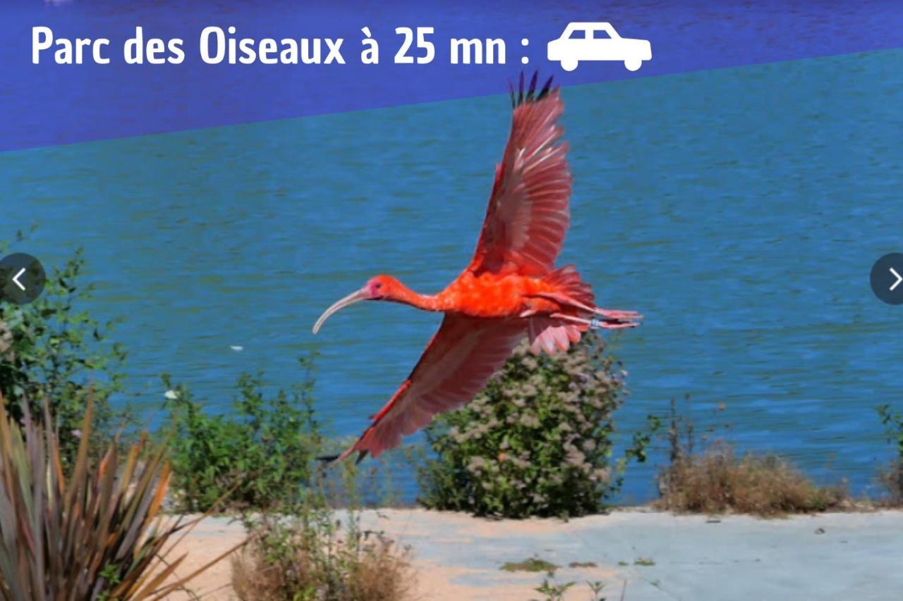 L'Emeraude - 1 A 4P - Wifi Fibre - Parking Gratuit Pont-dʼAin Eksteriør bilde